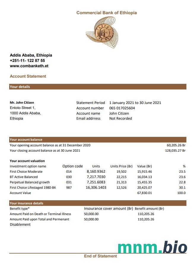 Ethiopia Commercial Bank of Ethopia szablon wyciągu bankowego, format Word i PDF, 4 strony